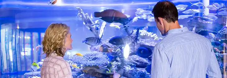 The National Aquarium