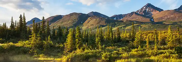 Denali National Park