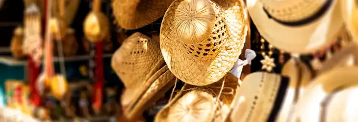 Excursion Opportunities