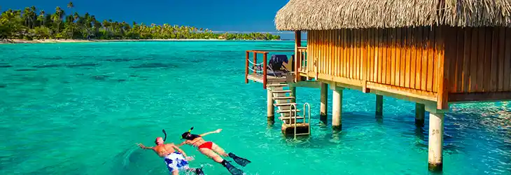 Snorkeling and Scuba