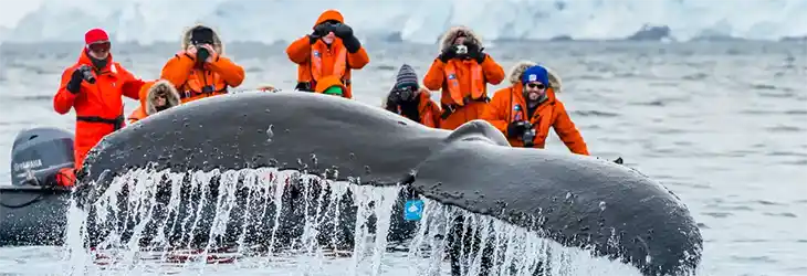 Experienced Expedition Team